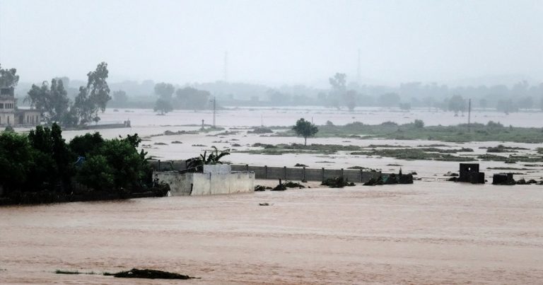 পাঞ্জাবে ভয়াবহ বন্যা